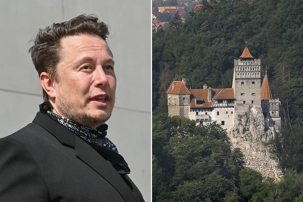 Cine a avut de câștigat de pe urma celui mai mare fake news național