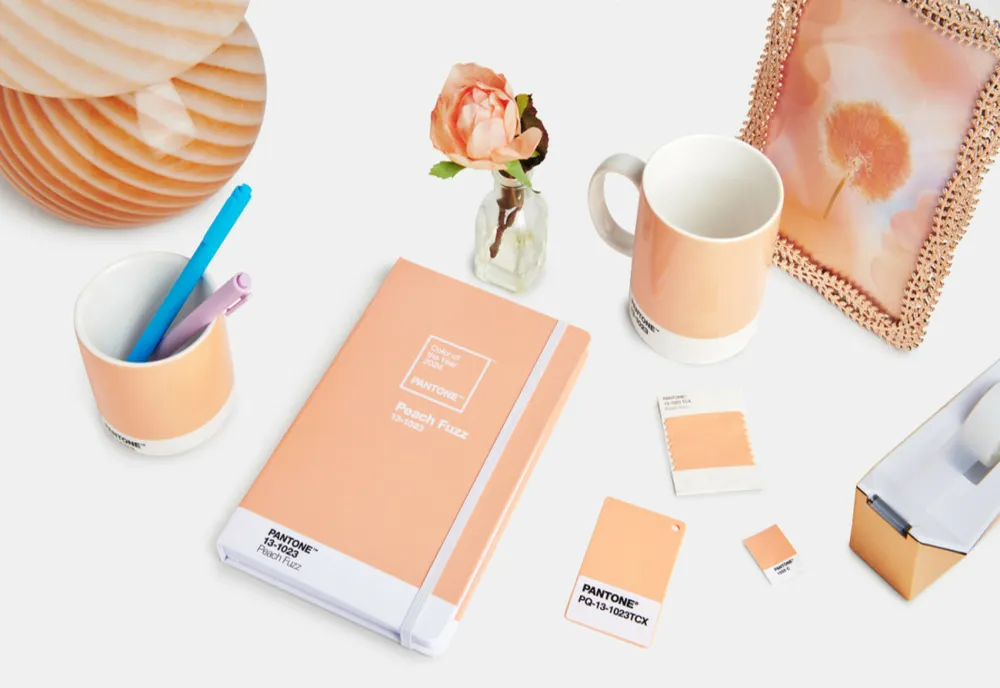 Care este culoarea anului 2024. Pantone: „O nuanţă care rezonează cu compasiune, oferă o îmbrăţişare tactilă”