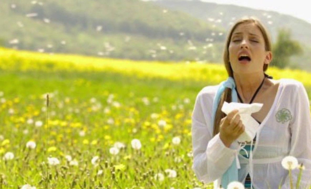 Remedii naturale în alergii - ce spun studiile