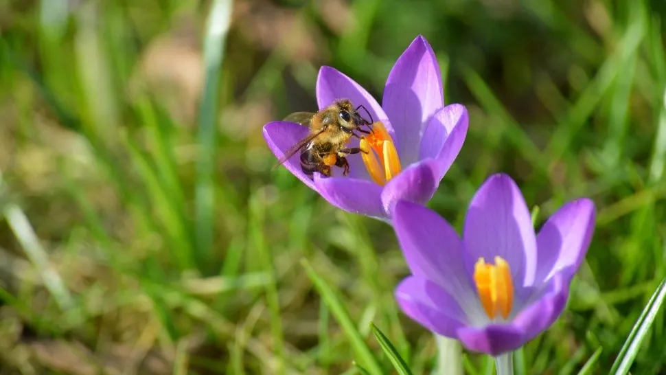 Cum va fi vremea azi în România: soare în mare parte din țară, dar apar și ploi slabe