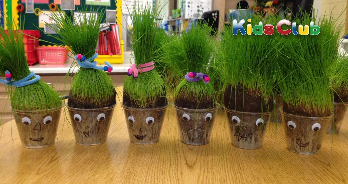 Sf. Andrei 2022. Ce este bine să faci cu grâul pus la încolţit