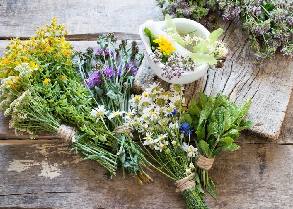 10 plante medicinale cu activitate antivirală