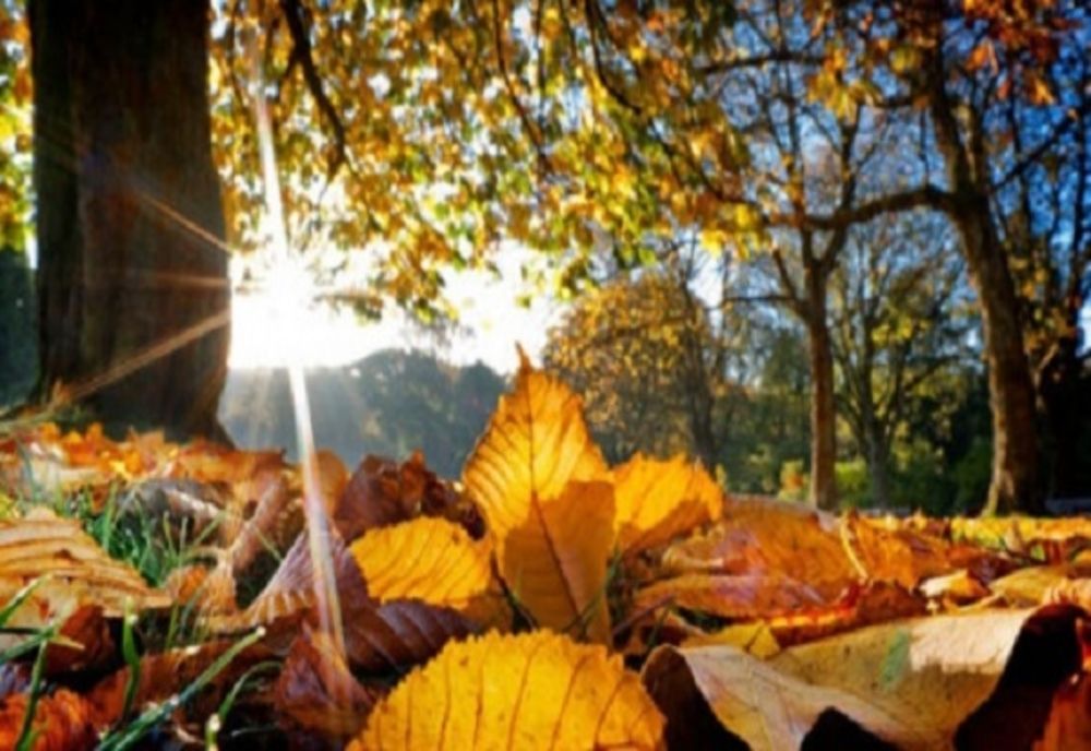 Prognoză ANM: Cum va fi vremea în țară, în luna octombrie. Sunt anunțate temperaturi de 35-38 de grade 