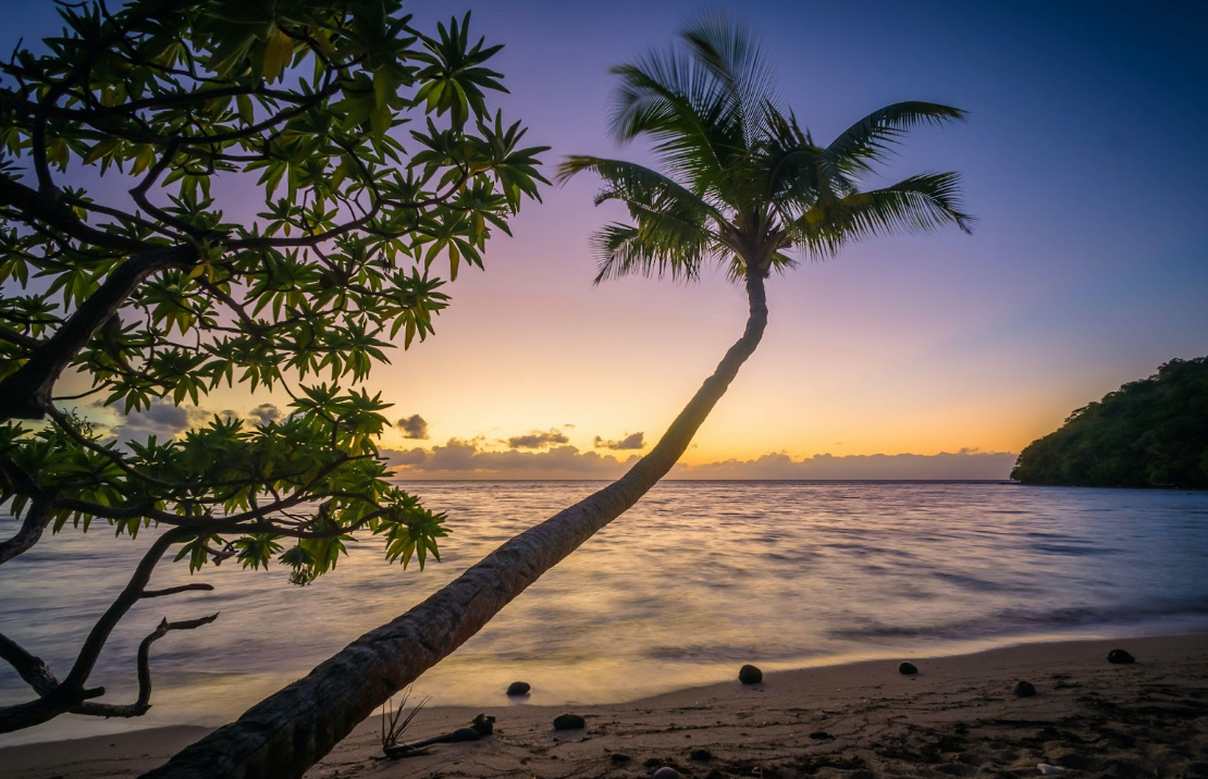 Perla sudului: Descoperirea luxului autentic pe litoralul sudic