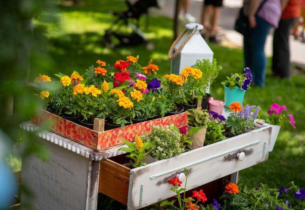 Bucharest Flowers | Grădinile din jurul lumii, în Parcul Herăstrău, în weekend