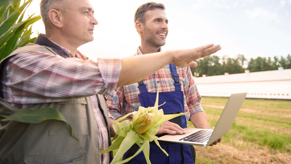 Ghidul complet pentru accesarea unui credit agricol