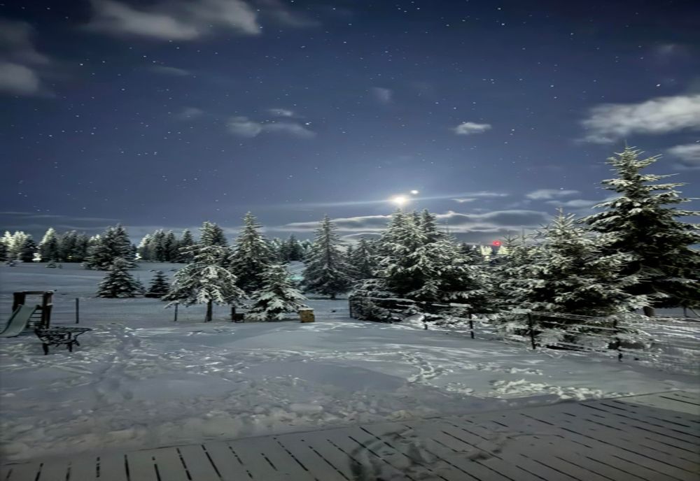 Venus, „planeta iubirii”, apariție inedită pe cer de Ziua Îndrăgostiților 2025. Iată explicația!