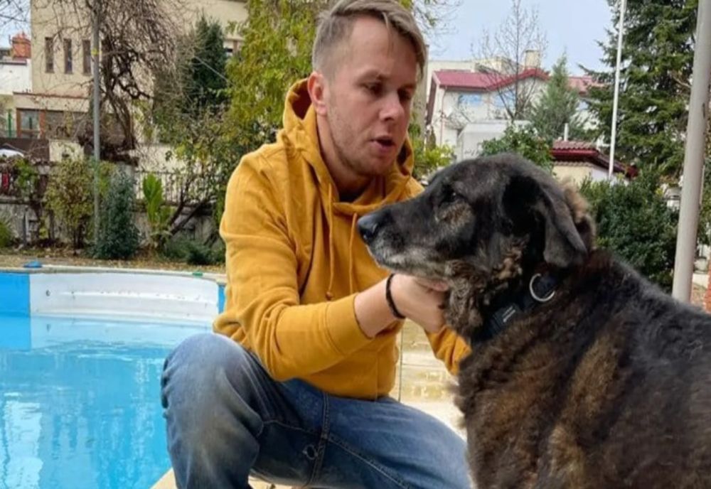 Codin Maticiuc nu și-a găsit câinele și a mărit recompensa