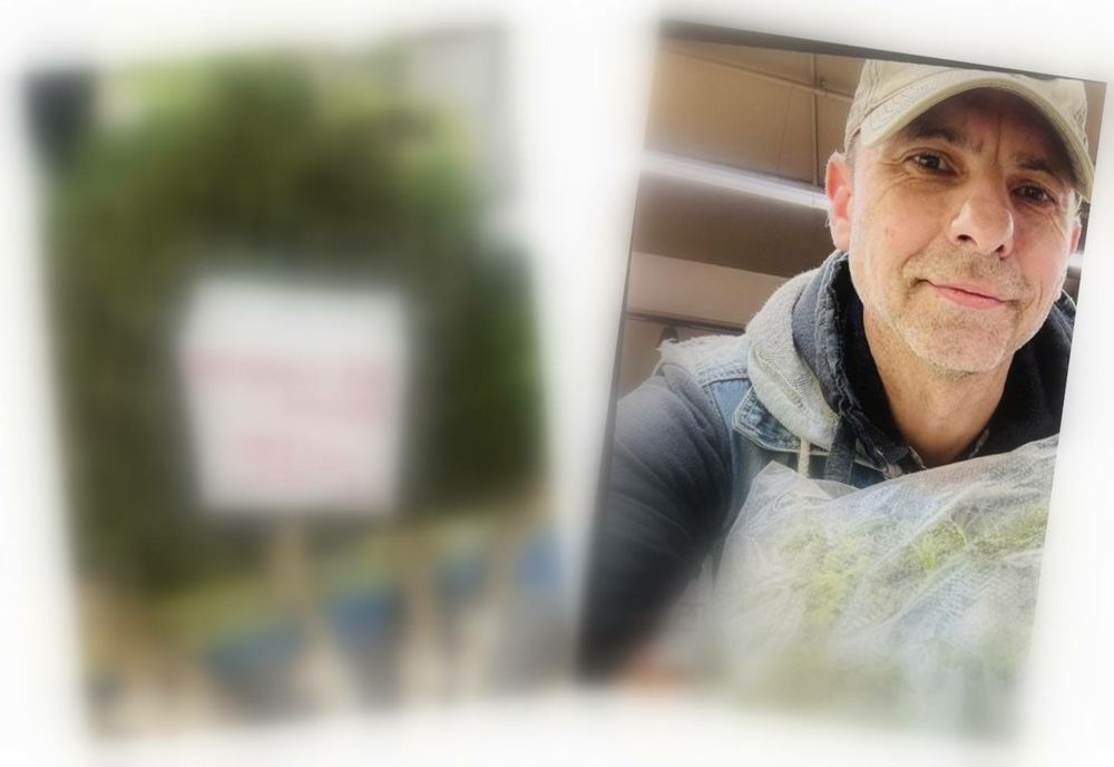 Reacția neașteptată a lui Dan Negru, după ce a văzut cât costă un kilogram de urzici în piață