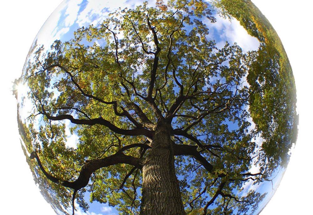 Ziua Pământului 2025, celebrată pe 22 aprilie. Ce semnificație are acest eveniment