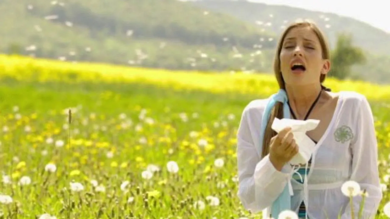 Remedii naturale în alergii - ce spun studiile