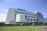 Ministra Mediului va convoca de urgenţă conducerea Romsilva în urma raportului ANAP