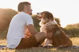 Ziua Internațională a Câinelui. O zi dedicată patrupezilor din orice rasă și care încurajează adopția