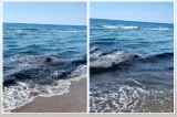 Alertă în Mamaia Nord! Apa mării s-a înnegrit, iar mirosul puternic i-a speriat pe turiști VIDEO