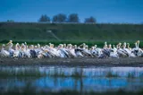 Transportul regulat de călători în Delta Dunării își schimbă programul. Ce trebuie să știe turiștii
