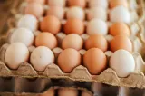 UE suspendă importurile de carne, ouă și miere din Brazilia din cauza normelor de folosire a antibioticelor