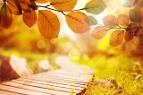 Vremea în septembrie: ANM anunță temperaturi peste normal. Prognoza pe 4 săptămâni