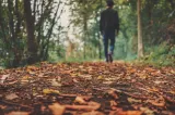 Vreme rece și ploi, de luni. Prognoza meteo pentru următoarele patru săptămâni