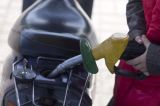 România, printre puținele țări din UE unde benzina s-a ieftinit în aprilie. Situația motorinei