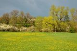 Vremea azi, 15 mai. Temperaturile urcă până la 25 de grade, dar ploile revin în vest