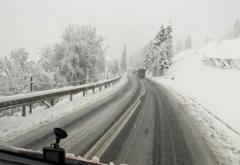 iarna