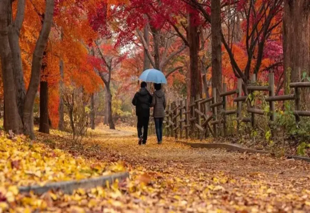 TOAMNĂ LUNGĂ, TEMPERATURI NEFIREȘTI. ANM A EMIS PROGNOZA METEO PE O LUNĂ: CUM VA FI VREMEA DE 1 DECEMBRIE
