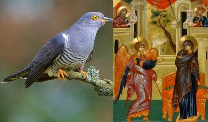 Cucul cântă prima oară de Buna Vestire