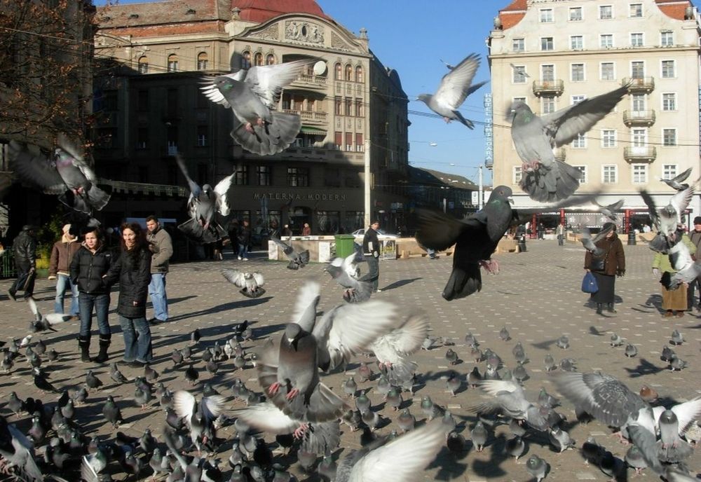 Orașul din România considerat de britanici cea mai ieftină destinație pentru city break din lume