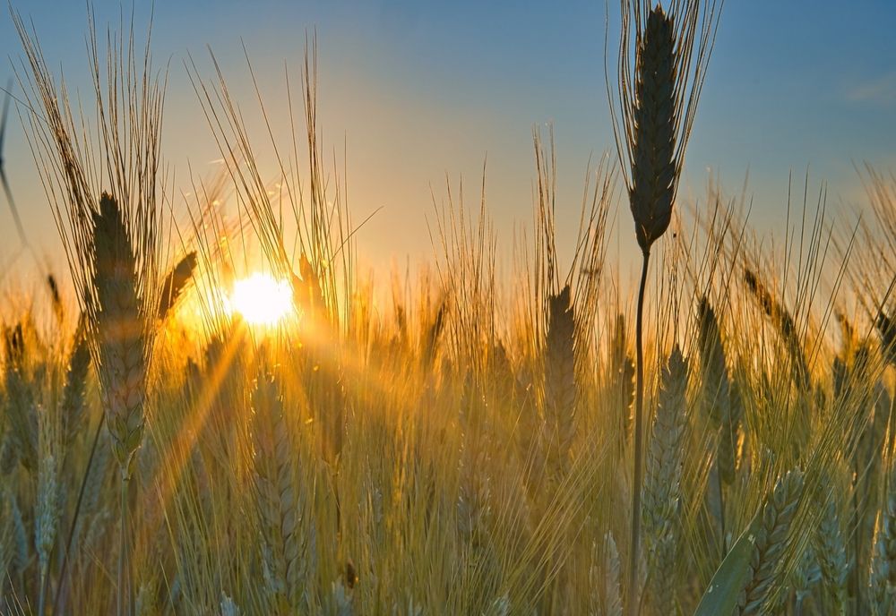 ANM A EMIS PROGNOZA METEO PENTRU URMĂTOARELE PATRU SĂPTĂMÂNI
