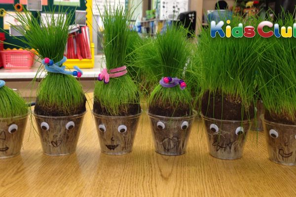 Sf. Andrei 2022. Ce este bine să faci cu grâul pus la încolţit