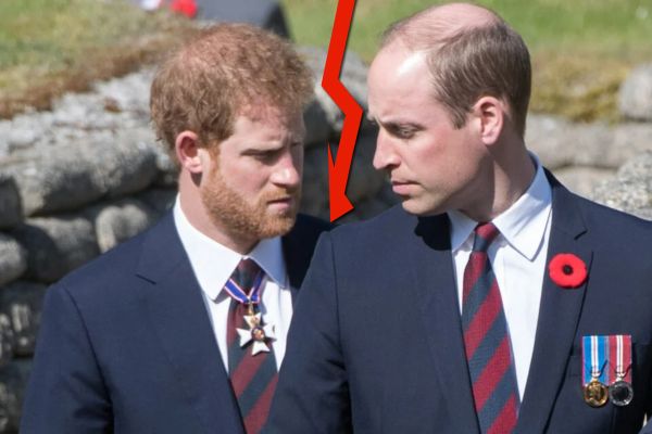 Nou scandal în Casa Regală. Prințul Harry dezvăluie cum a fost bătut de fratele său, William