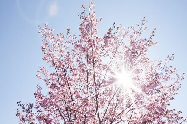 Vreme deosebit de caldă în aproape toată țara