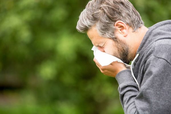 Boala care face ravagii primăvara 