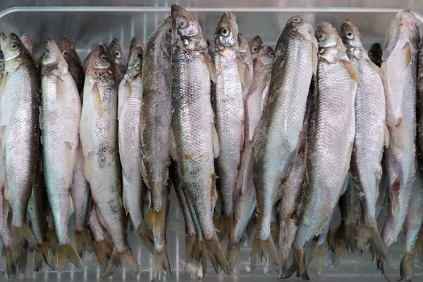 La ce trebuie să fim atenți când cumpărăm pește pentru Buna Vestire. Recomandările ANPC