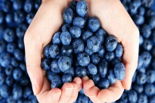 Cele mai bune diete recomandate de experți în 2025