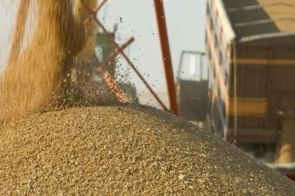 Transportul cerealelor din Ucraina, asigurat de Eurohold