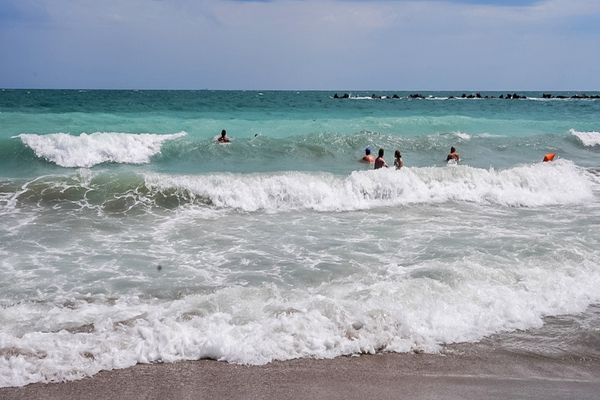 Alertă pe litoral! Ce au transmis experții