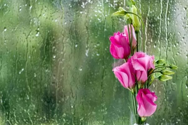 CUM VA FI VREMEA ÎN SEPTEMBRIE. PROGNOZA METEO PENTRU URMĂTOARELE PATRU SĂPTĂMÂNI