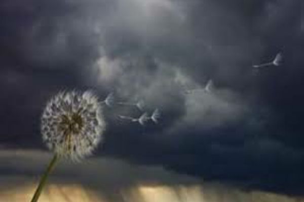 Prognoza meteo 16 aprilie: după temperaturi de vară, lovesc vijeliile și ninsorile