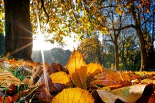 Prognoză ANM: Cum va fi vremea în țară, în luna octombrie. Sunt anunțate temperaturi de 35-38 de grade 