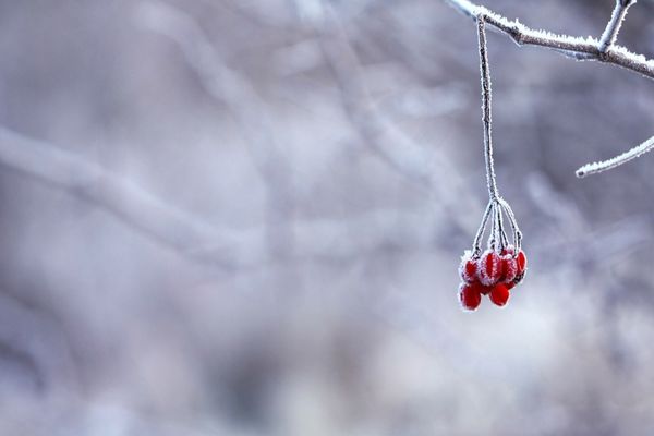 Prognoza meteo pentru următoarele patru săptămâni. Cum va fi vremea de Crăciun și de Revelion