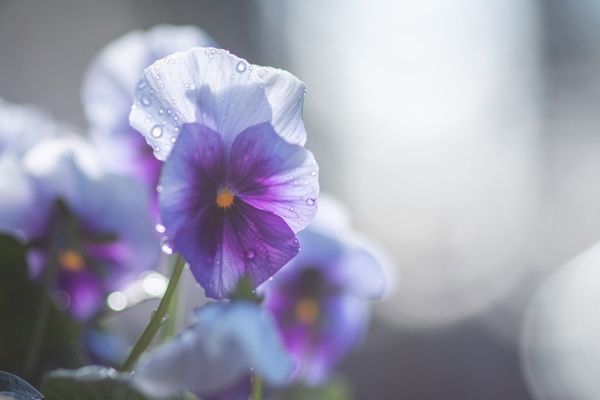 Prognoza meteo pe o lună. Cum va fi vremea până pe 15 aprilie