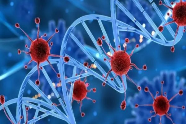 CEEA CE MÂNCAȚI AR PUTEA CONTRIBUI LA RISCUL DE CANCER PULMONAR, ARATĂ UN STUDIU