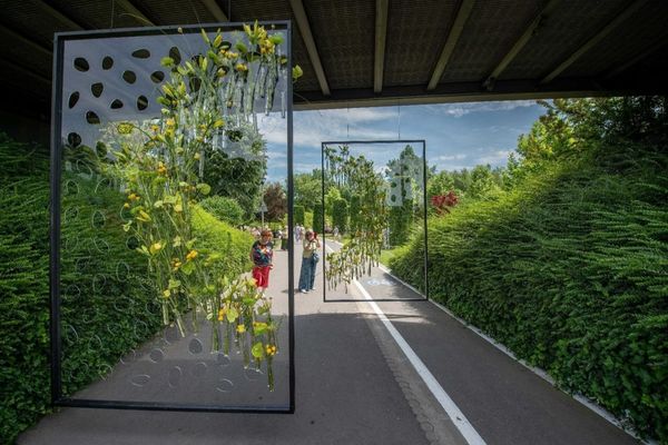 West Side Flower Fest. Care este programul la festivalul florilor din Parcul Drumul Taberei