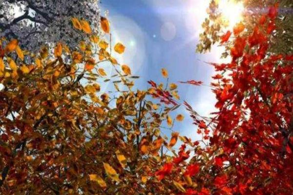 ANM A ACTUALIZAT PROGNOZA METEO. CUM VA FI VREMEA ÎN URMĂTOARELE PATRU SĂPTĂMÂNI