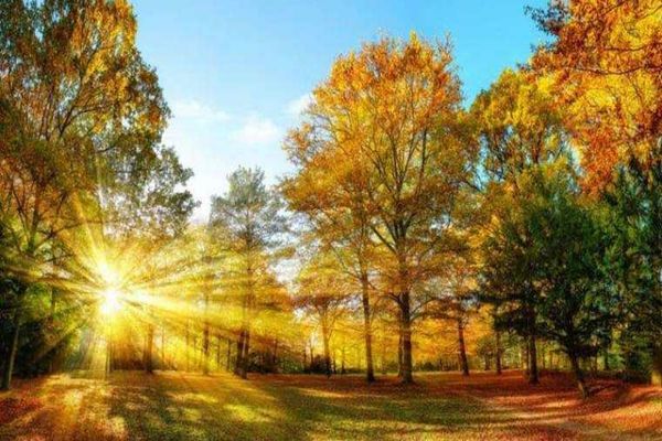 CUM VA FI VREMEA ÎN URMĂTOARELE DOUĂ SĂPTĂMÂNI 