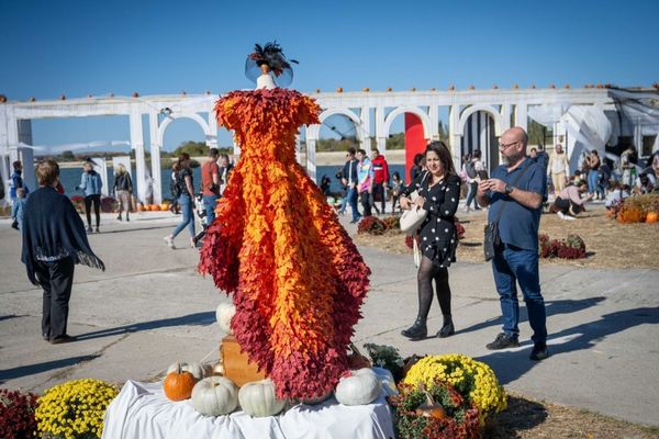 West Side Hallo Fest revine pe Insula Lacul Morii. Intrarea se face pe bază de bilet