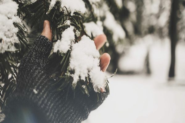 Consumul de zăpadă este periculos pentru sănătatea ta? Care sunt riscurile?