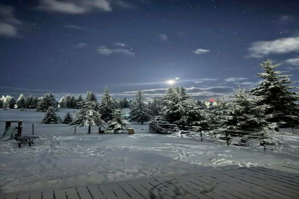 Venus, „planeta iubirii”, apariție inedită pe cer de Ziua Îndrăgostiților 2025. Iată explicația!