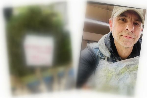 Reacția neașteptată a lui Dan Negru, după ce a văzut cât costă un kilogram de urzici în piață